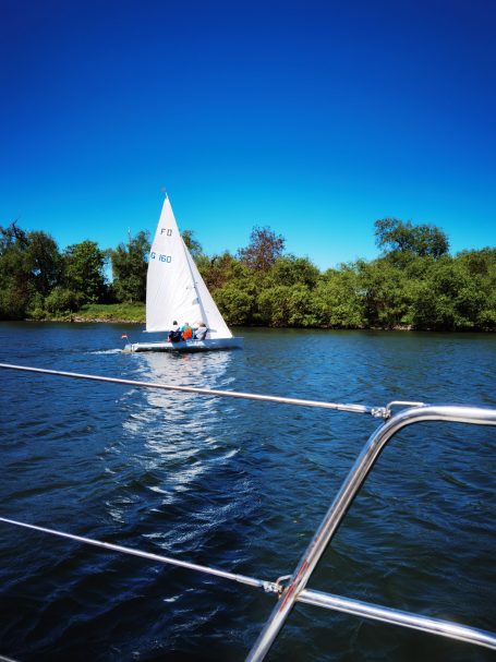 Segelboot fährt auf ruhigem Wasser, umgeben von Bäumen und klarem Himmel.