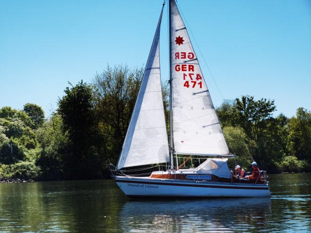 Segelboot auf einem ruhigen Gewässer, umgeben von Bäumen und klarem Himmel.